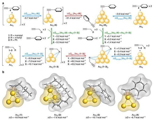 金底物相互作用在催化金亞納米團簇中的關鍵作用