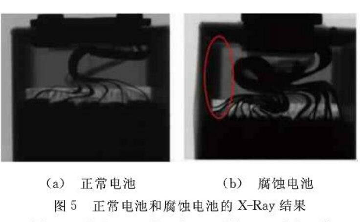 腐蝕電池和正常電池進行解剖分析